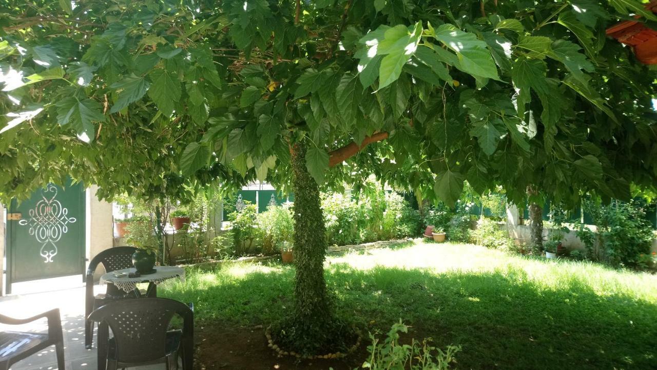 Holiday Home In Chalkidiki, Lakkoma Esterno foto